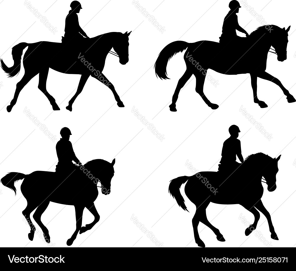 Horse Silhouettes - Equestrian Set vector image