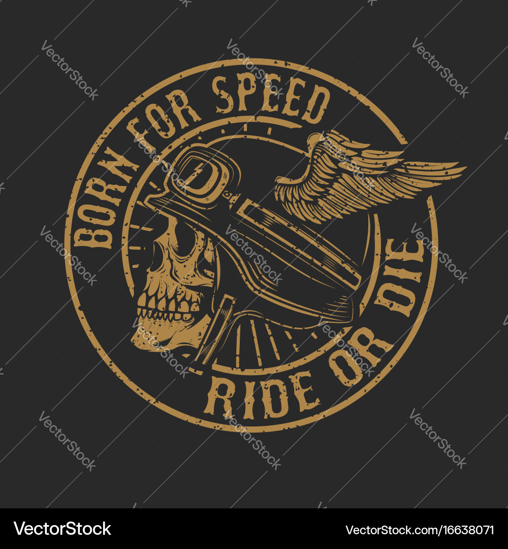 Skull Rider Helmet Graphic vector image