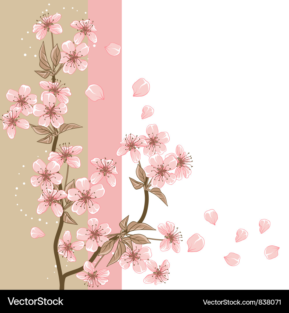 Stylized Cherry Blossom Card Vector Image