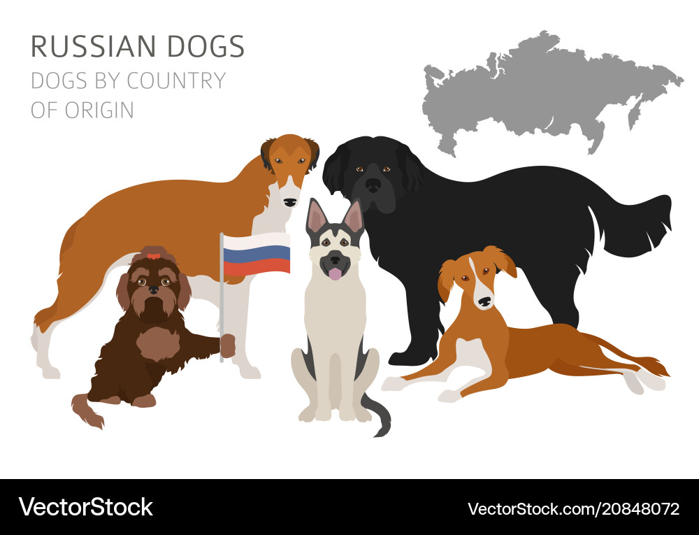 Hunde nach Herkunftsland russische Hunderassen Hunde nach Herkunftsland russische Hunderassen vektorbild