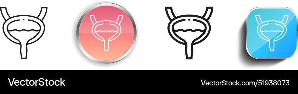 Bladder icon thin linear regular and button style Bladder icon thin linear regular and button style vector image