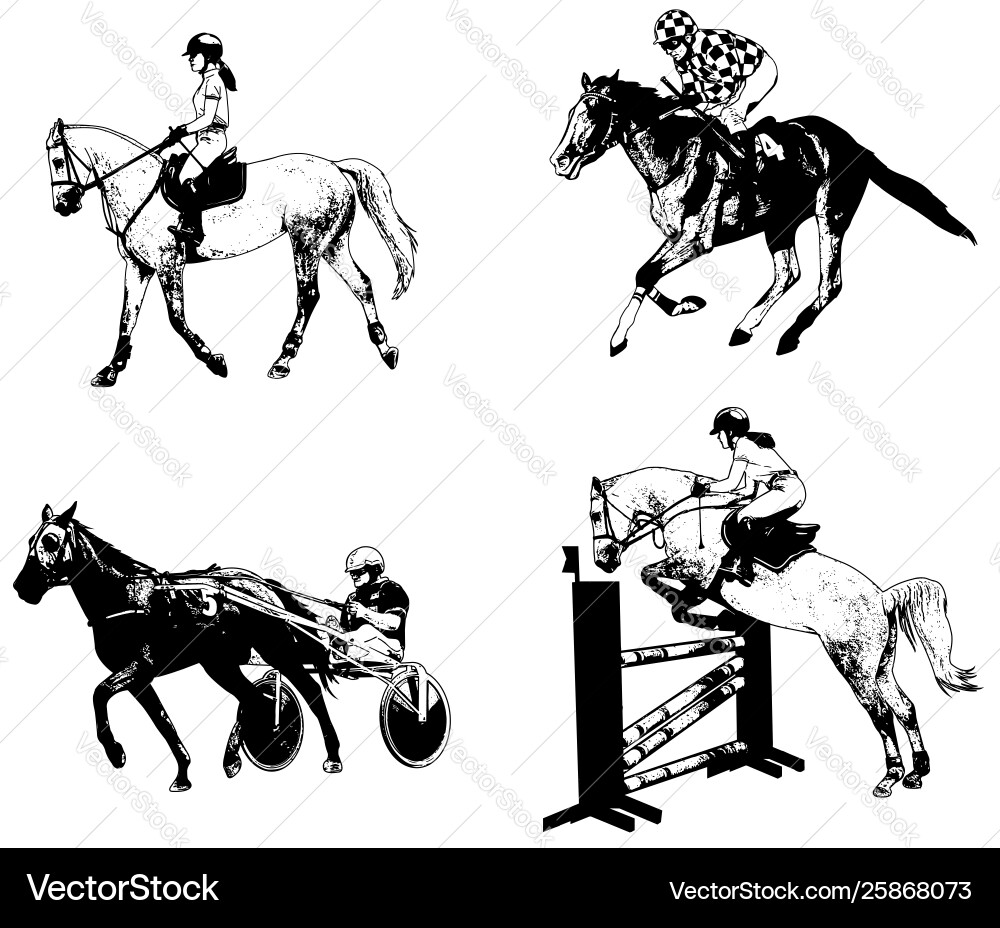 Equestrian Sports Sketch Set Vector Image