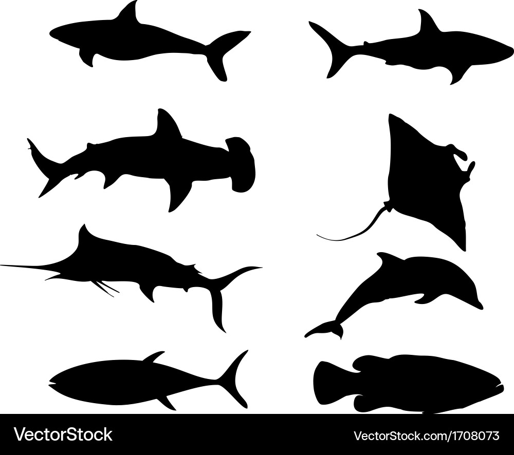 Fish Royalty Free Vector Image - VectorStock