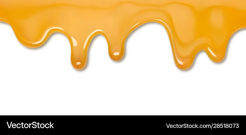 Golden Honey Drip vector image