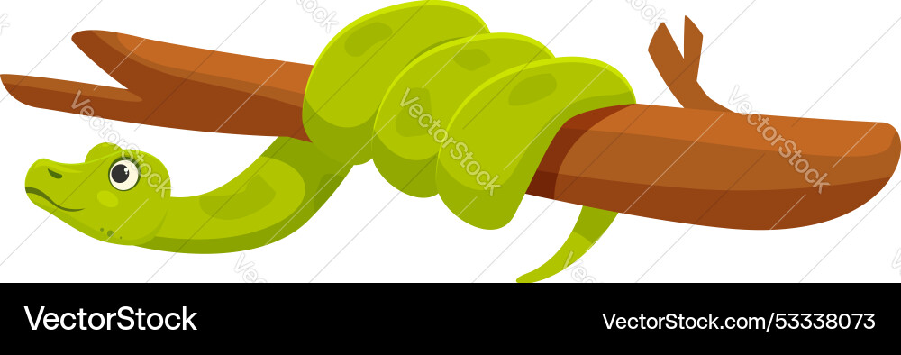 Green Tree Python on Branch vector image