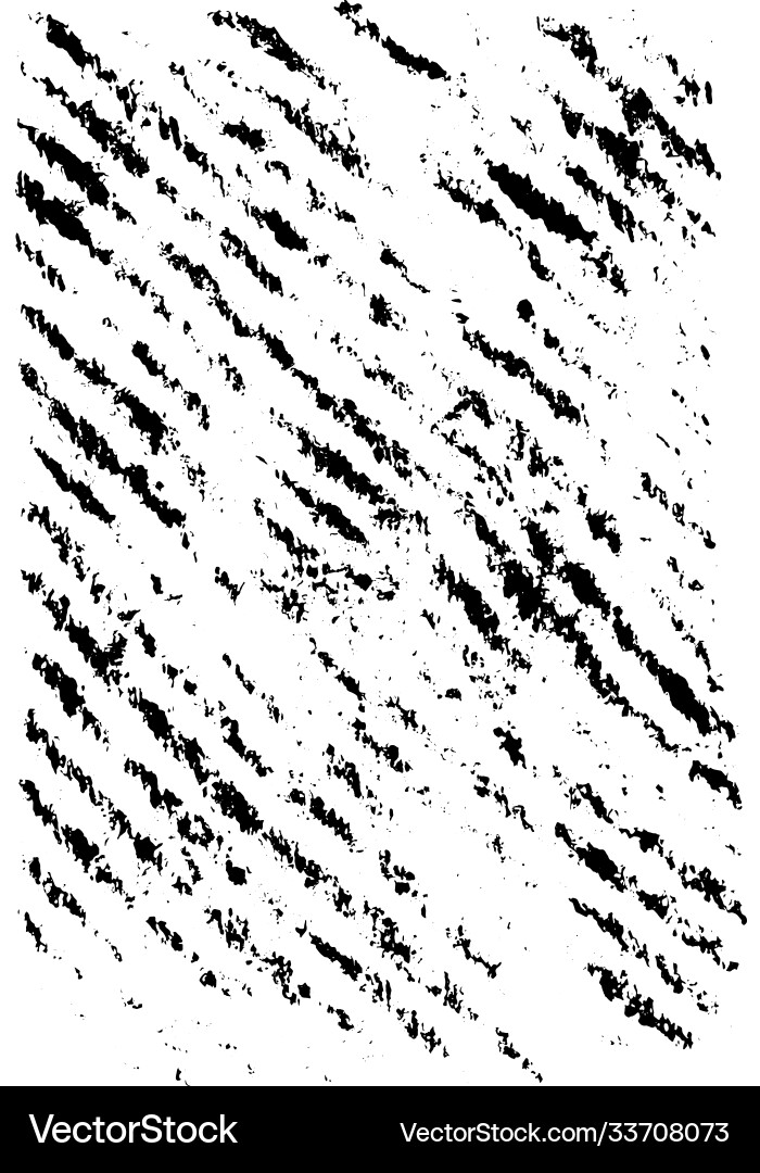 Monochrome Grunge Texture Vector Image