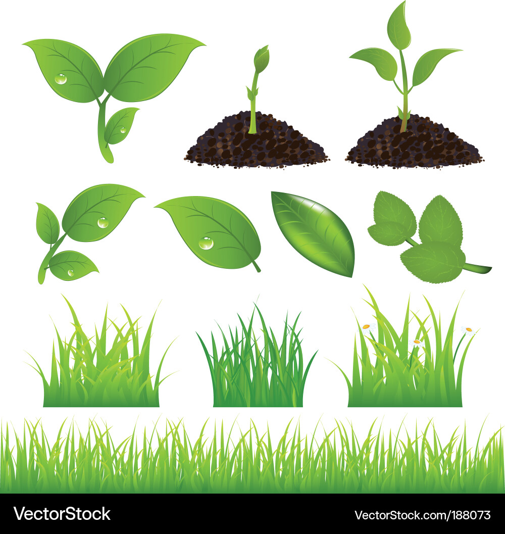 Nature Elements - Spring Icons Vector Image