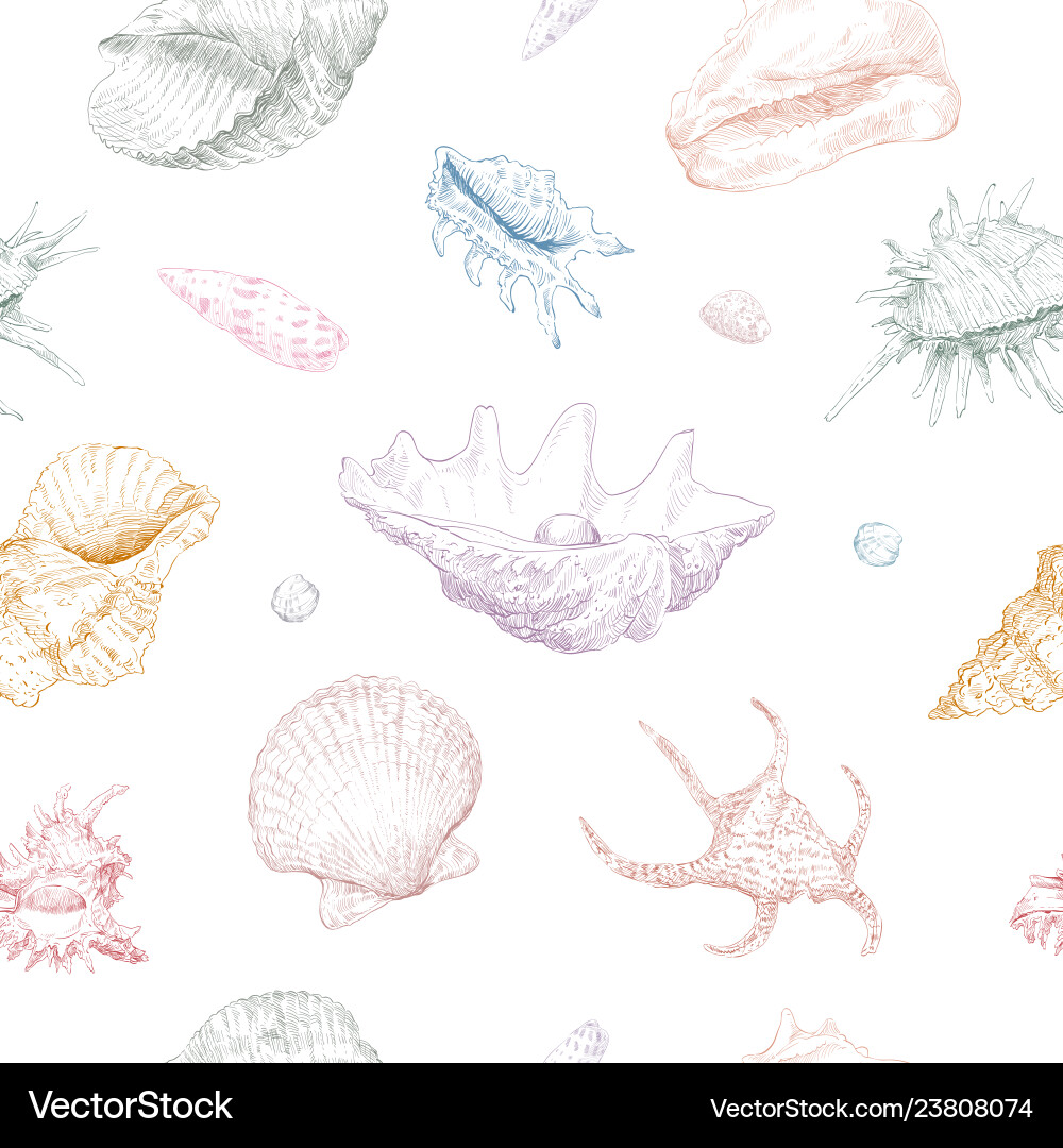 Seashell Pattern Backgrounds vector image