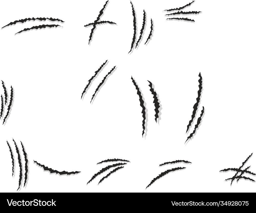 Set paw scratch mark claws scratching animal vector image