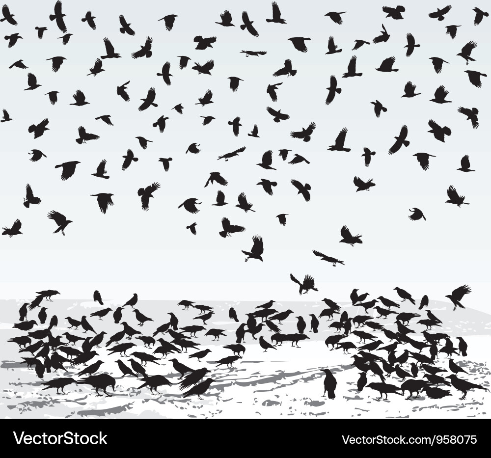 Winter Crow Flock vector image