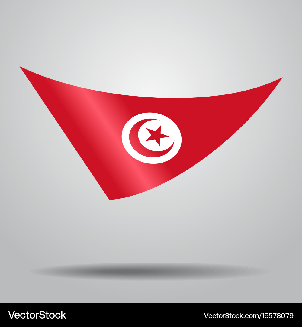 Tunisian Flag Wave Pattern vector image