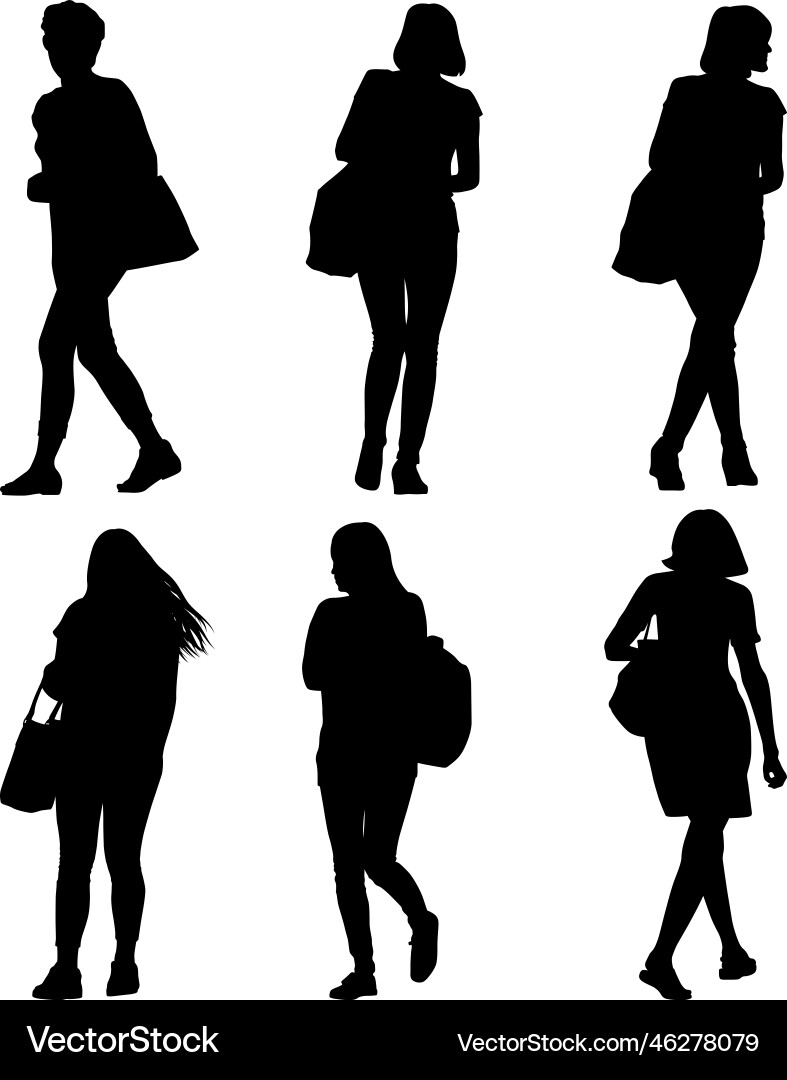 Woman Silhouette with Bag Vector Image