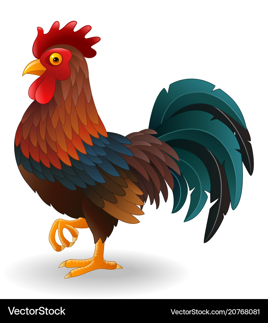 Cute rooster cartoon vector image