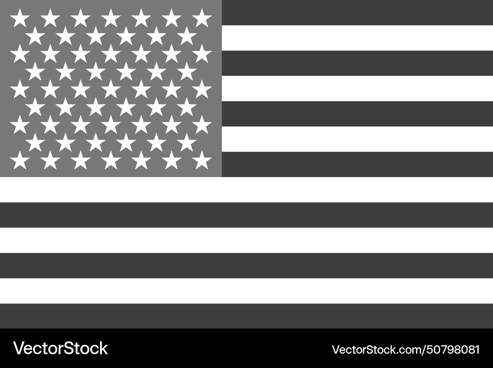 Greyscale flag of united states america Greyscale flag of united states america Vector Image