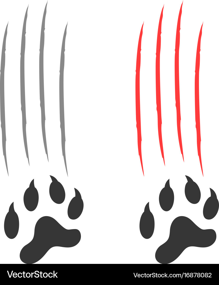 Paw print Vector Image