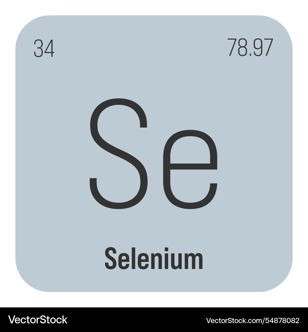 Selenium se periodic table element Selenium se periodic table element vector image