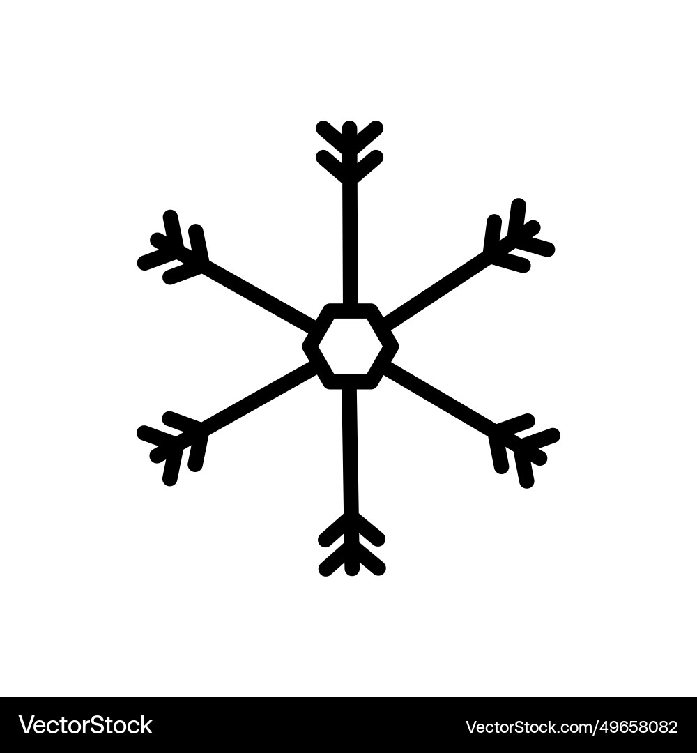 Snowflake line logo icon image vector image