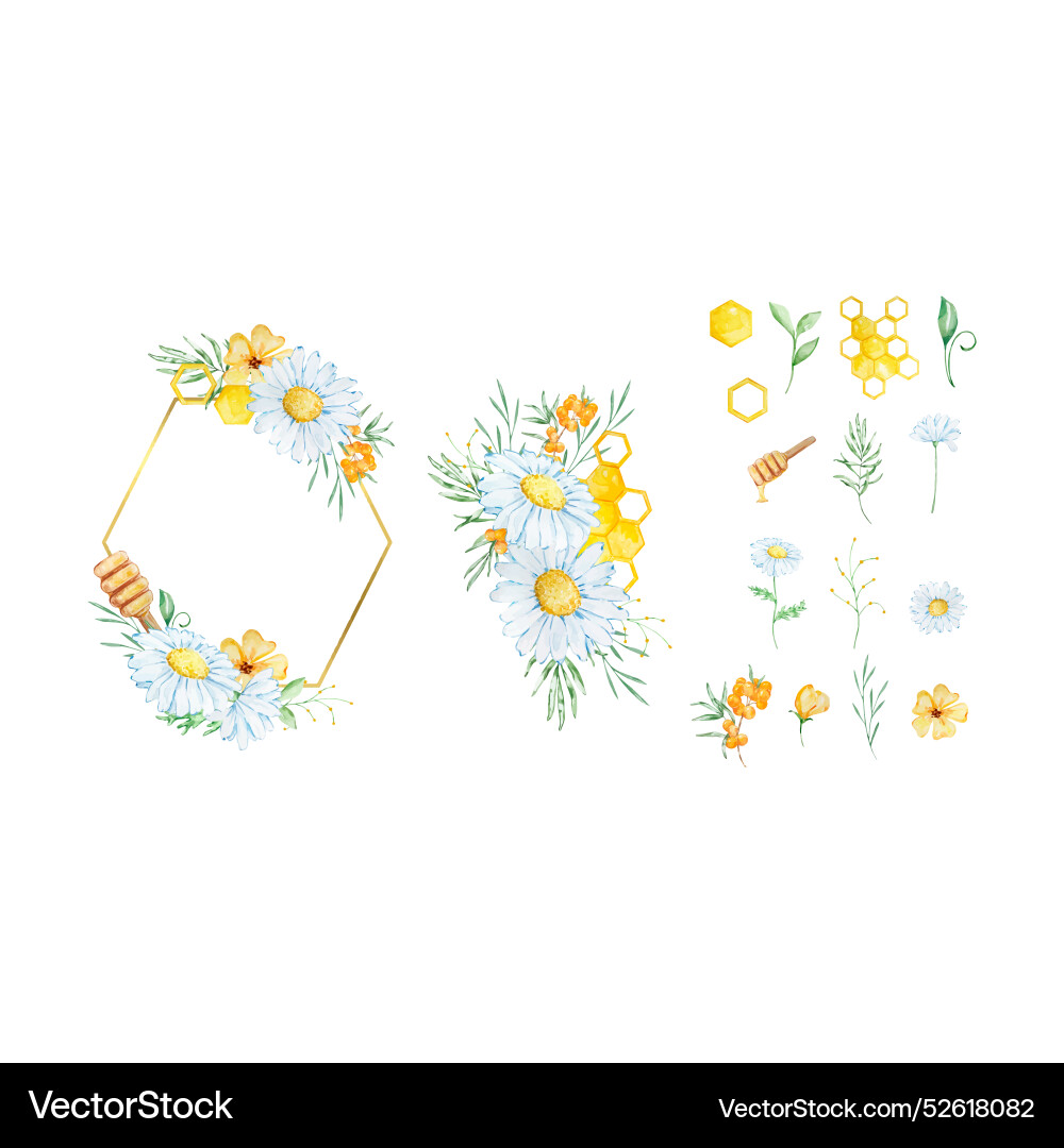 Watercolor floral frame with honeycomb daisy Vector Image