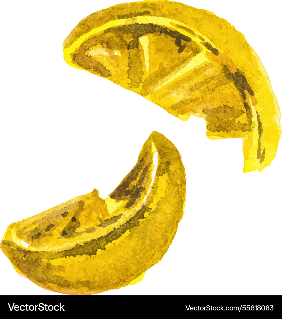 Watercolor painted lemon hand drawn fresh fruit Watercolor painted lemon hand drawn fresh fruit vector image