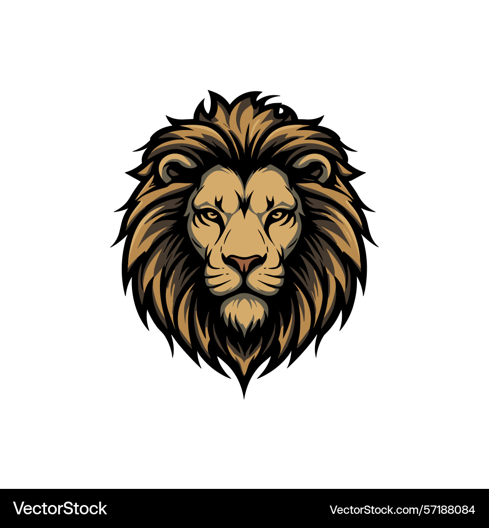 Lion face image front view Vector Image