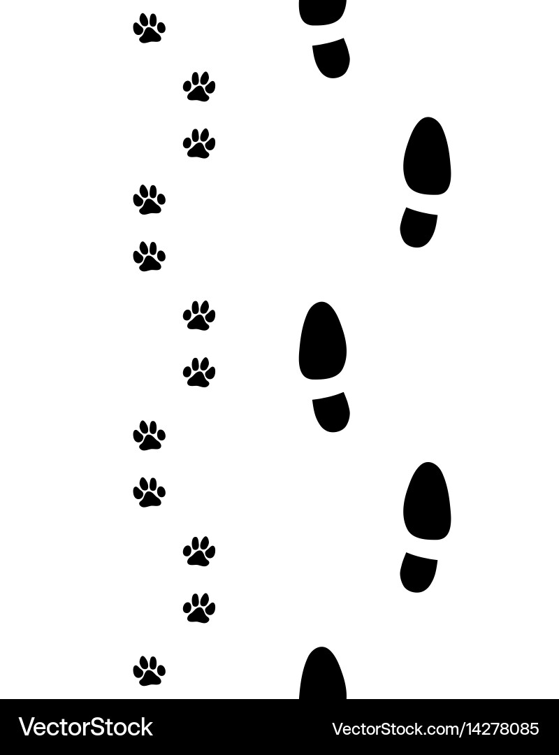Dog Paw and Footprint Pattern vector image