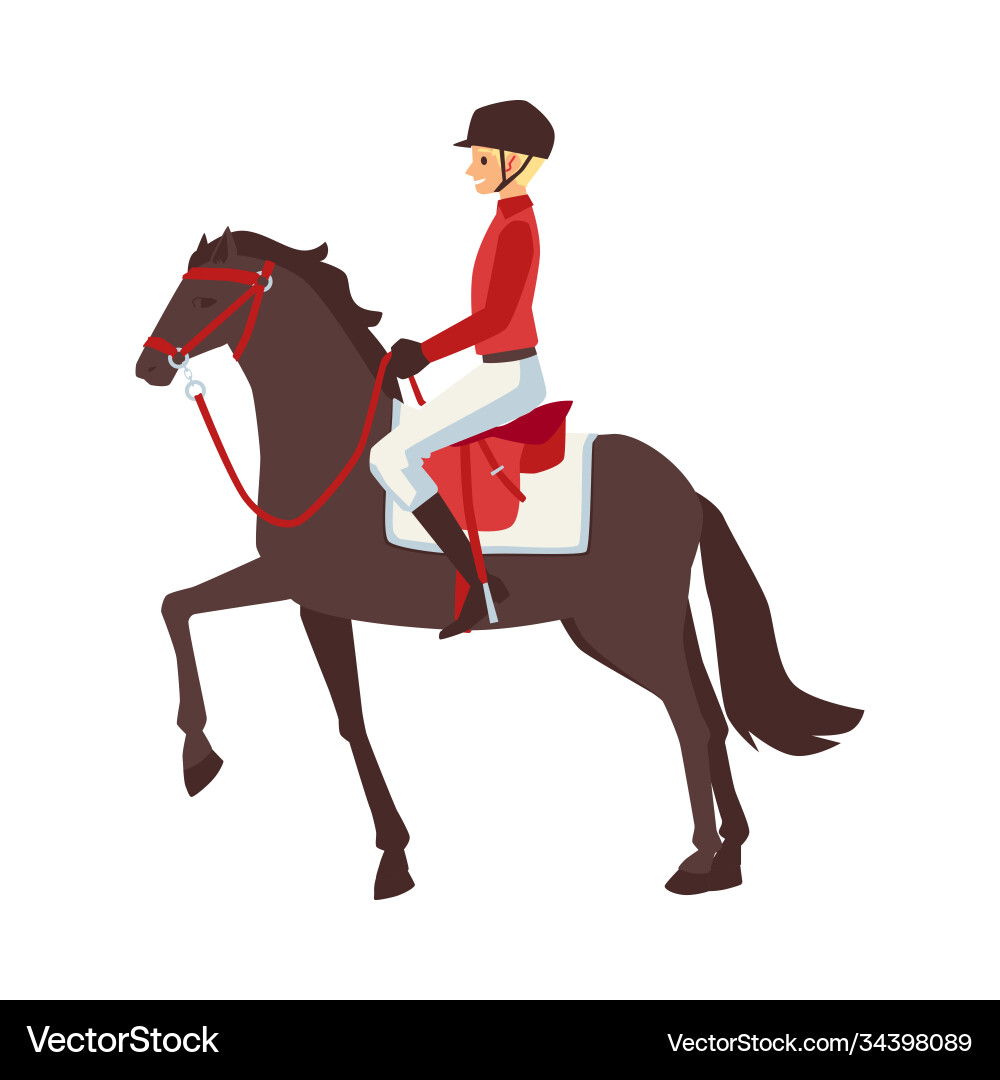 Equestrian sport male rider on horse flat cartoon Equestrian sport male rider on horse flat cartoon vector image
