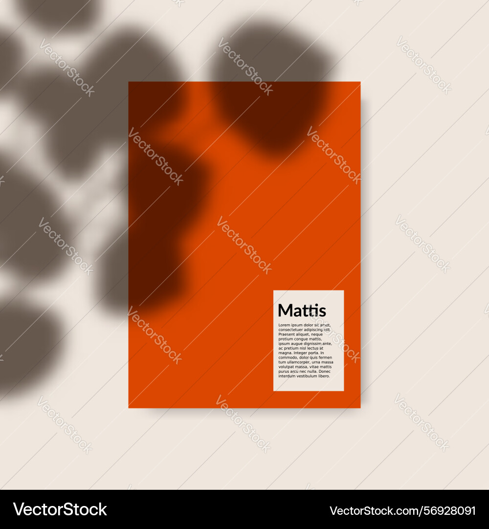 Card mock up with shadow overlay Vector Image