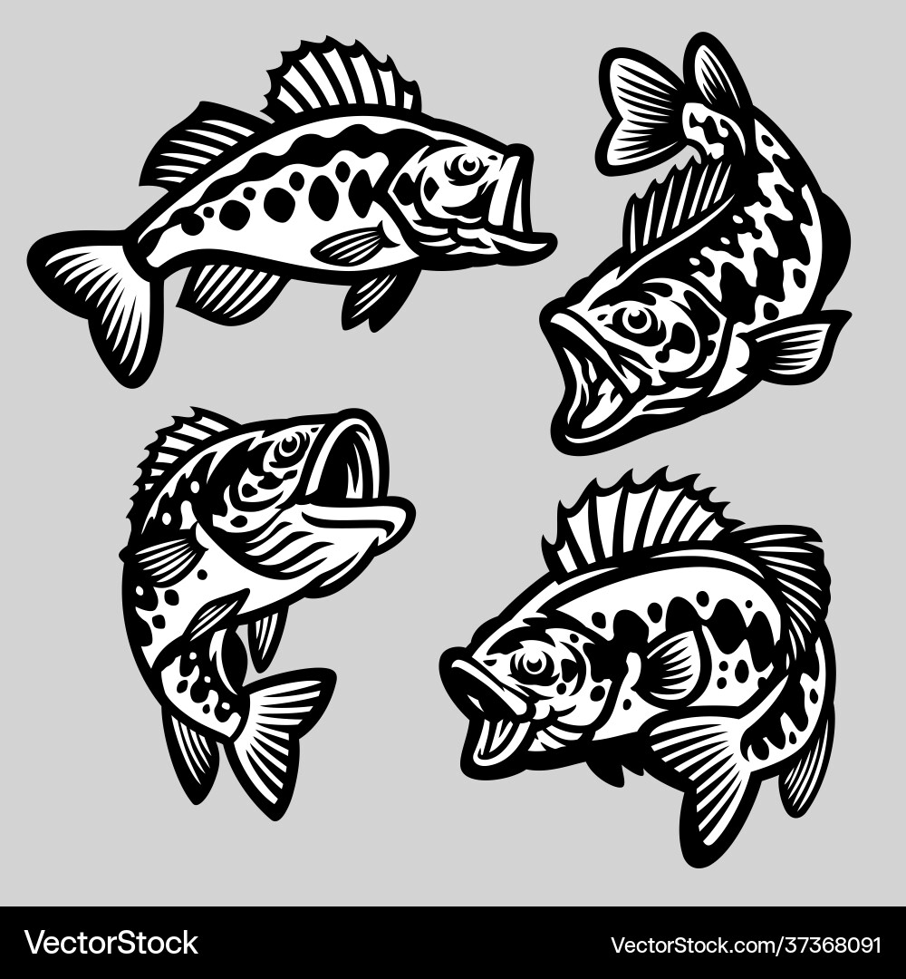 Cartoon Largemouth Bass Fish Set Vector Image