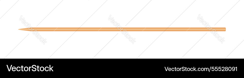 Skewers wooden bamboo pointed tip stick thin Vector Image