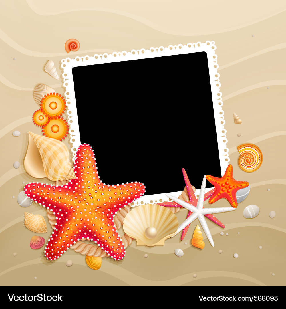 Shells and starfishes Royalty Free Vector Image