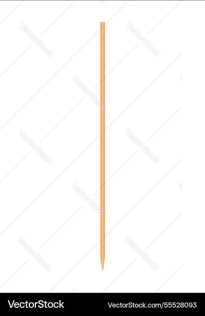 Skewers wooden bamboo pointed tip stick thin Vector Image