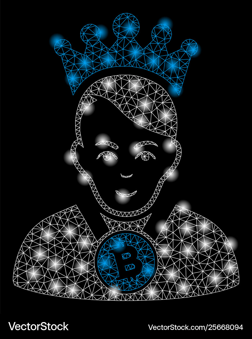 Bright mesh network bitcoin lord with flash spots – Royalty-Free Vector |  VectorStock