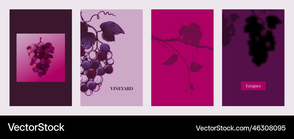 Grape Pattern Background vector image