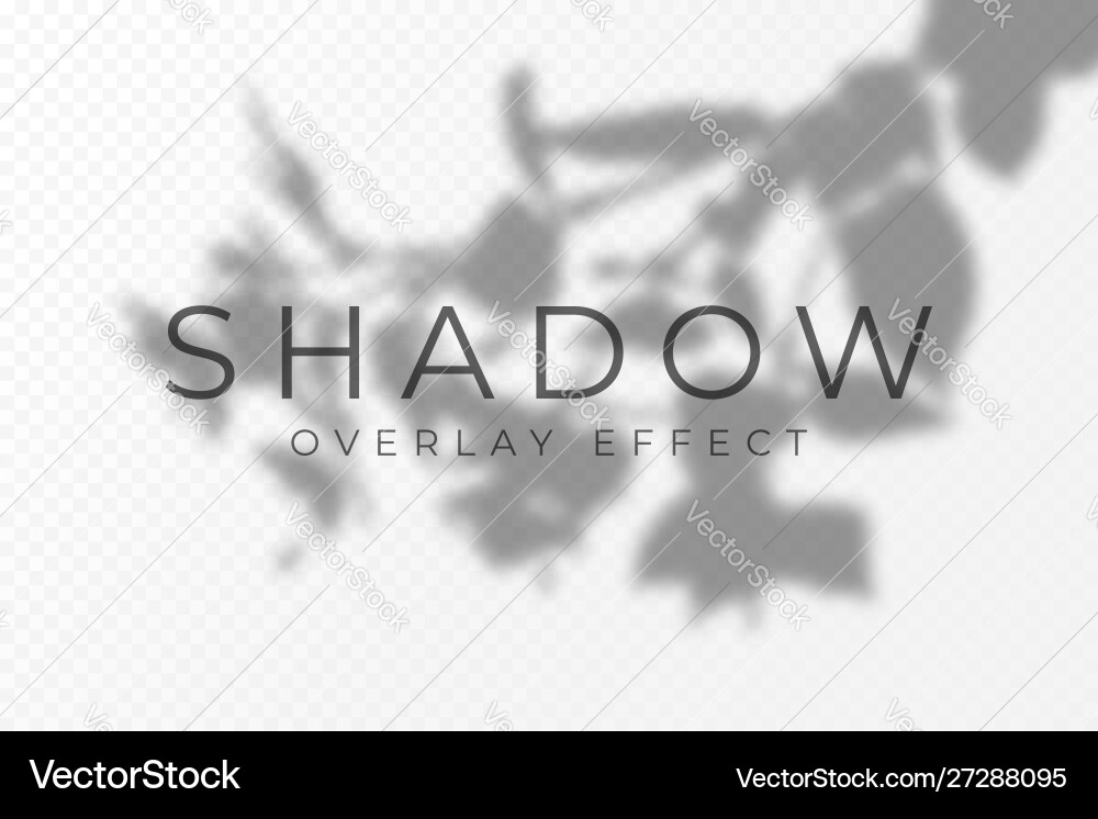 Shadow Overlay Transparency Effect vector image