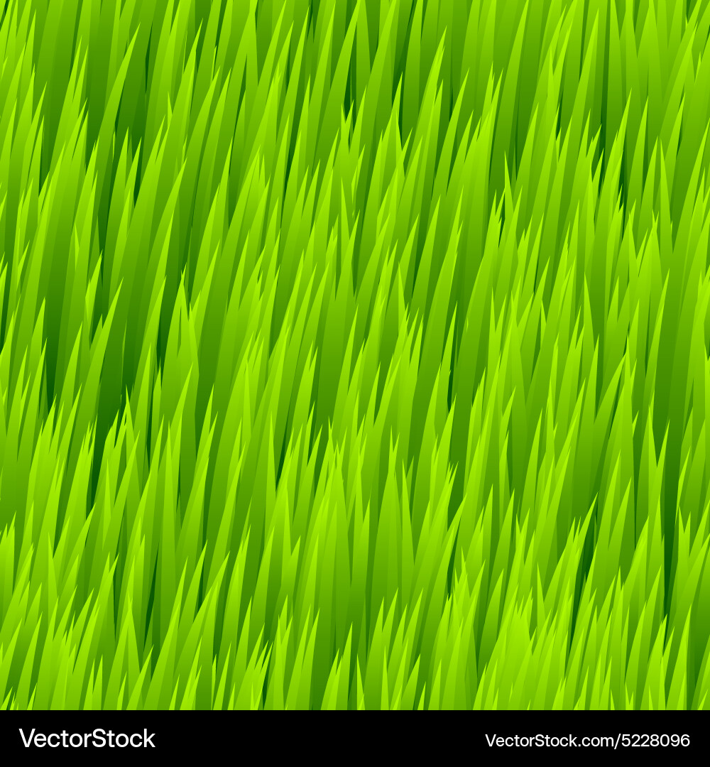 Green grass seamless pattern Royalty Free Vector Image