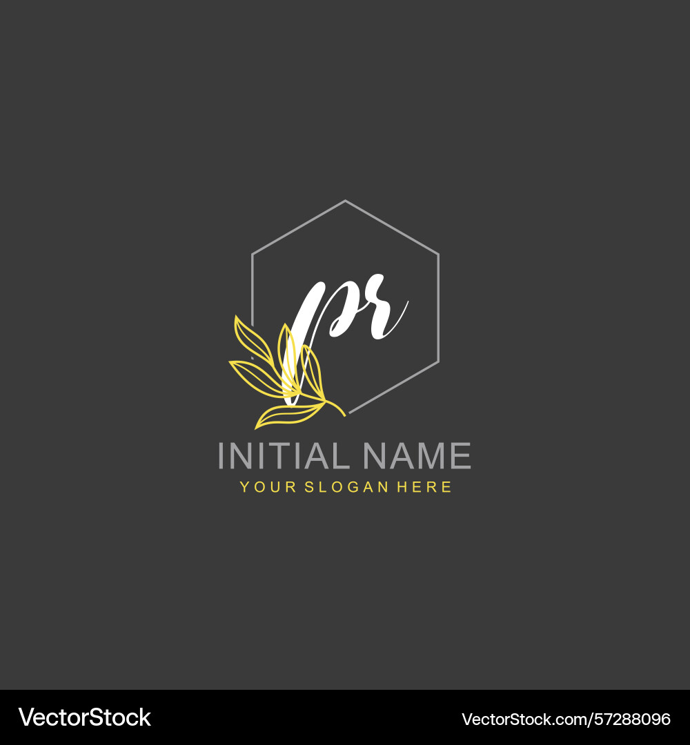 Pr initial logo templates with botanical elements Pr initial logo templates with botanical elements vector image
