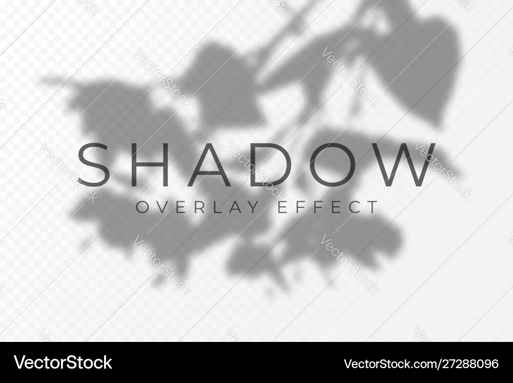 Shadow overlay effect transparent soft light Shadow overlay effect transparent soft light vector image