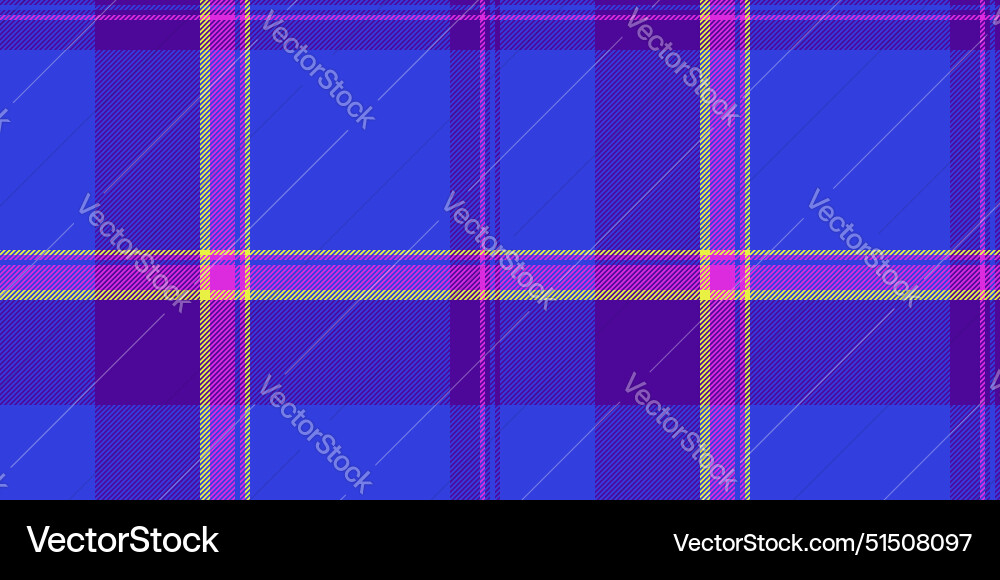 Room pattern plaid texture coloured textile Vector Image