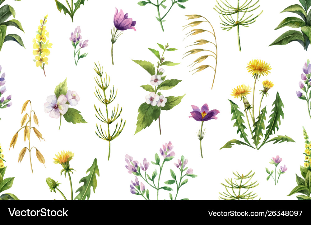 Watercolor Floral Pattern vector image