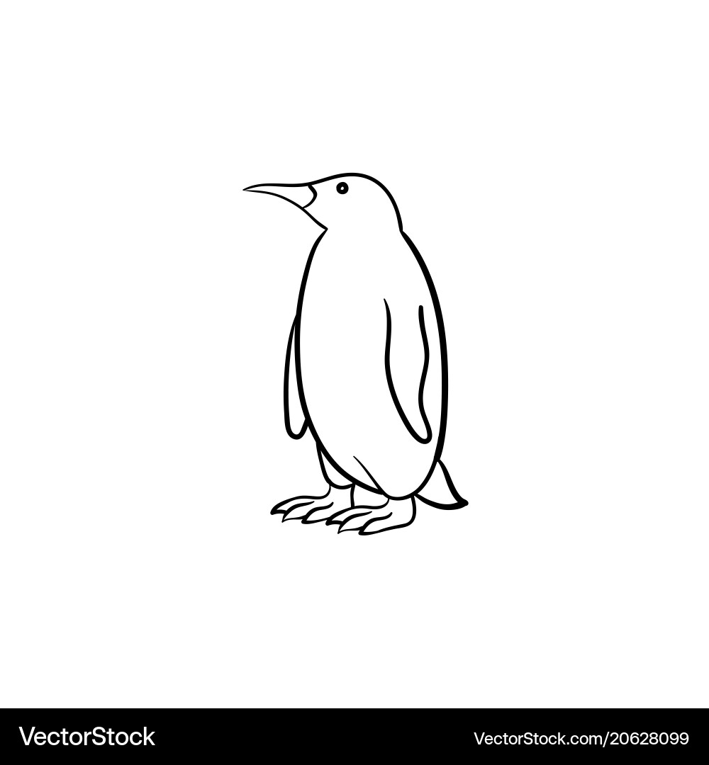Pinguin Hand gezeichnet Skizze Symbol Pinguin Hand gezeichnet Skizze Symbol vektorbild
