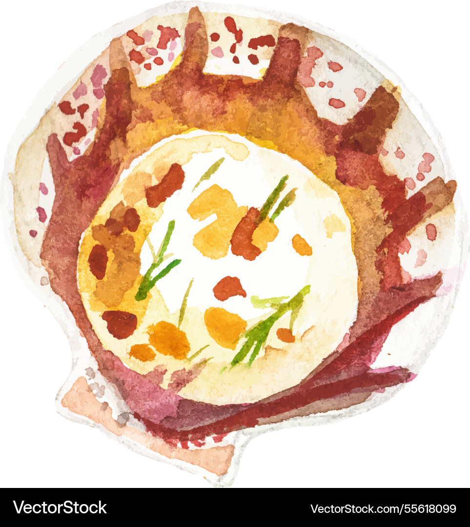 Watercolor painted scallop hand drawn fresh Watercolor painted scallop hand drawn fresh vector image