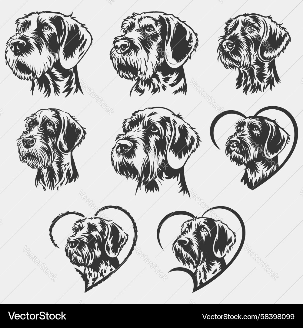 Wirehaired Pointer Silhouettes Vector Image