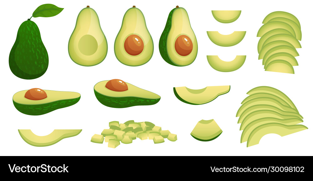 Cartoon avocado ripe avocados fruits healthy Cartoon avocado ripe avocados fruits healthy vector image