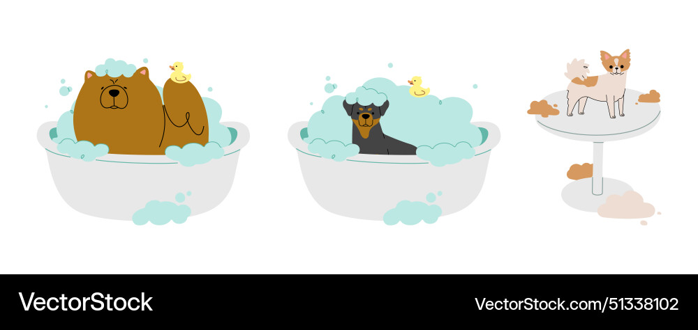 Pet grooming 8 Royalty Free Vector Image - VectorStock