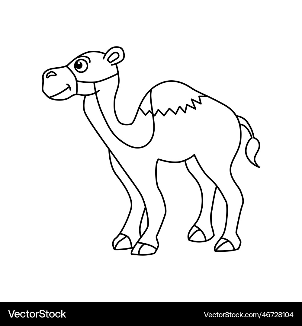 Cute camel cartoon for kids coloring book Vector Image