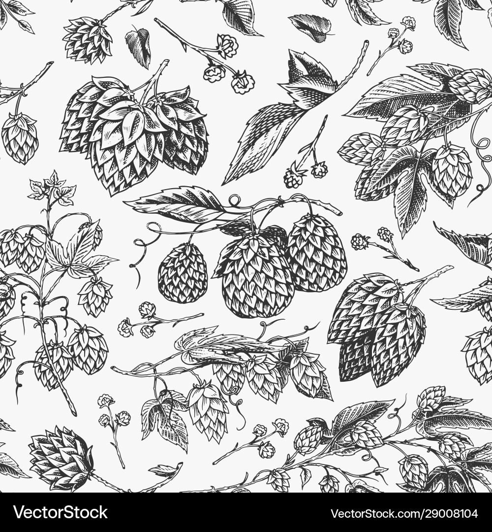 Hops and barley seamless pattern malt beer