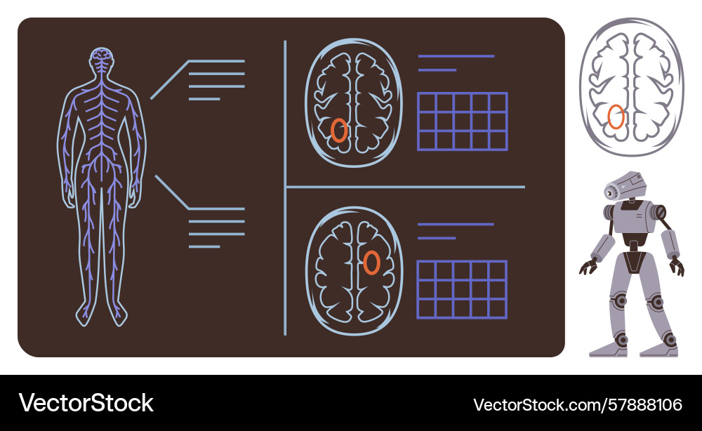 Human nervous system and brain analysis with robot Human nervous system and brain analysis with robot Vector Image