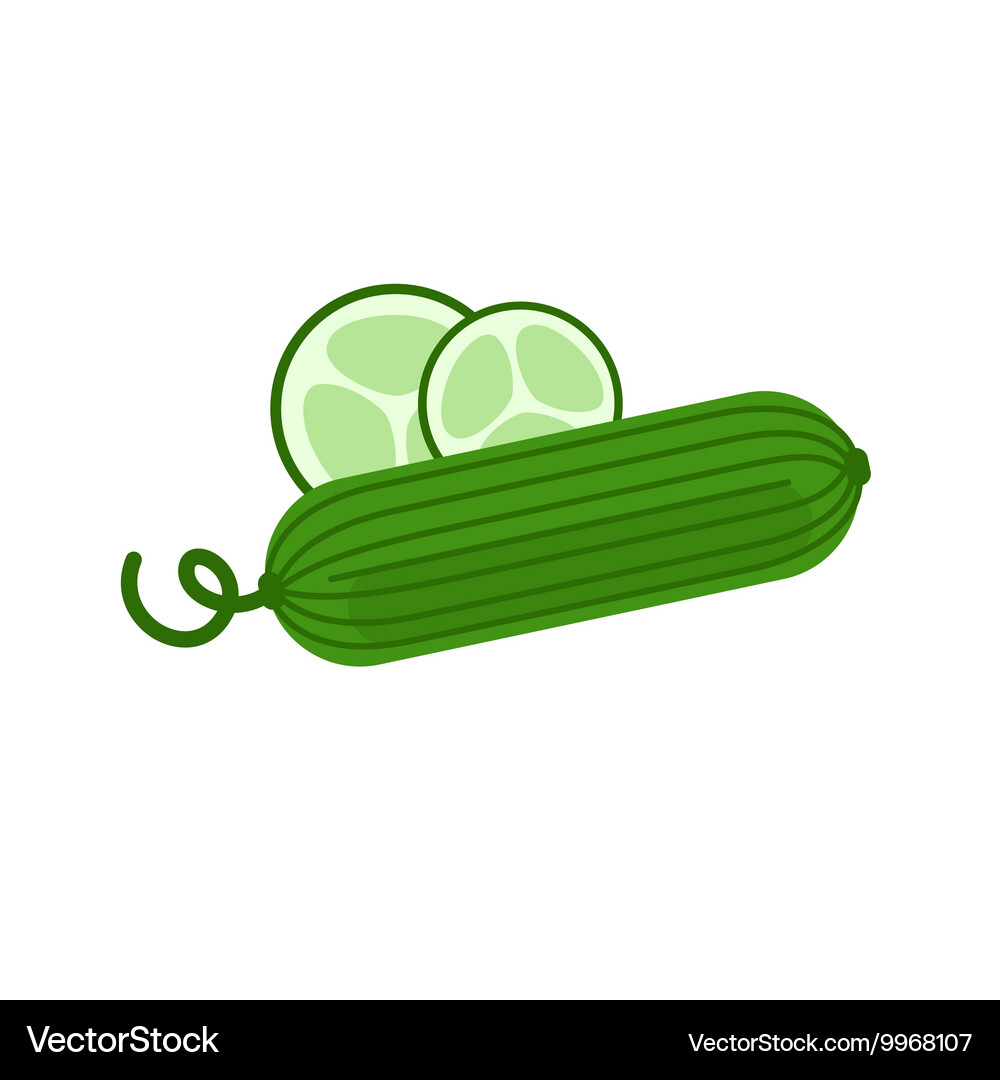 Cucumber Vector Image