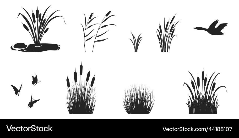 Silhouette von Reeds mit Gras und Dickicht schwarz Silhouette von Reeds mit Gras und Dickicht schwarz vektorbild