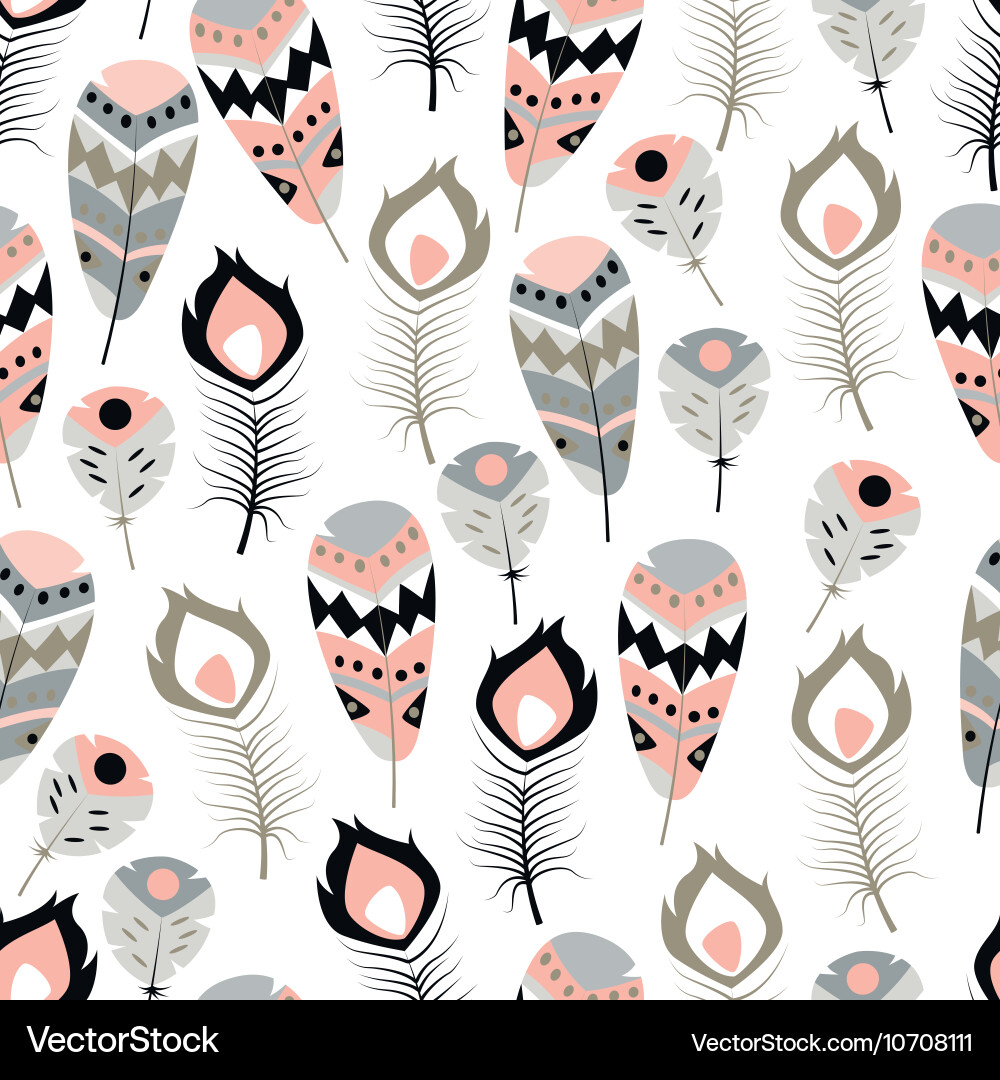 Bohemian Feather Pattern vector image